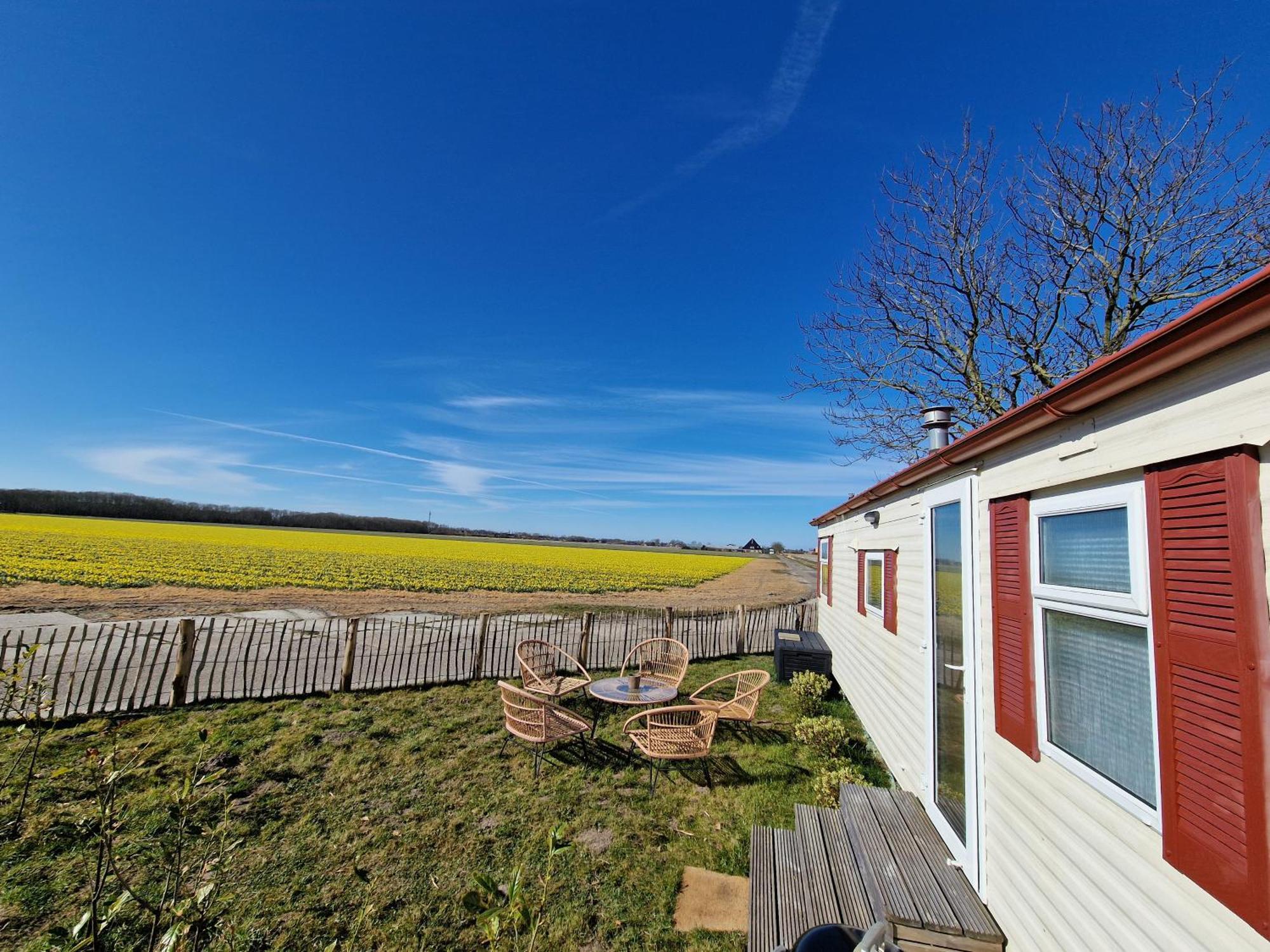 Chalet 'Como La Flor' Julianadorp Flowerfields Overview! 외부 사진